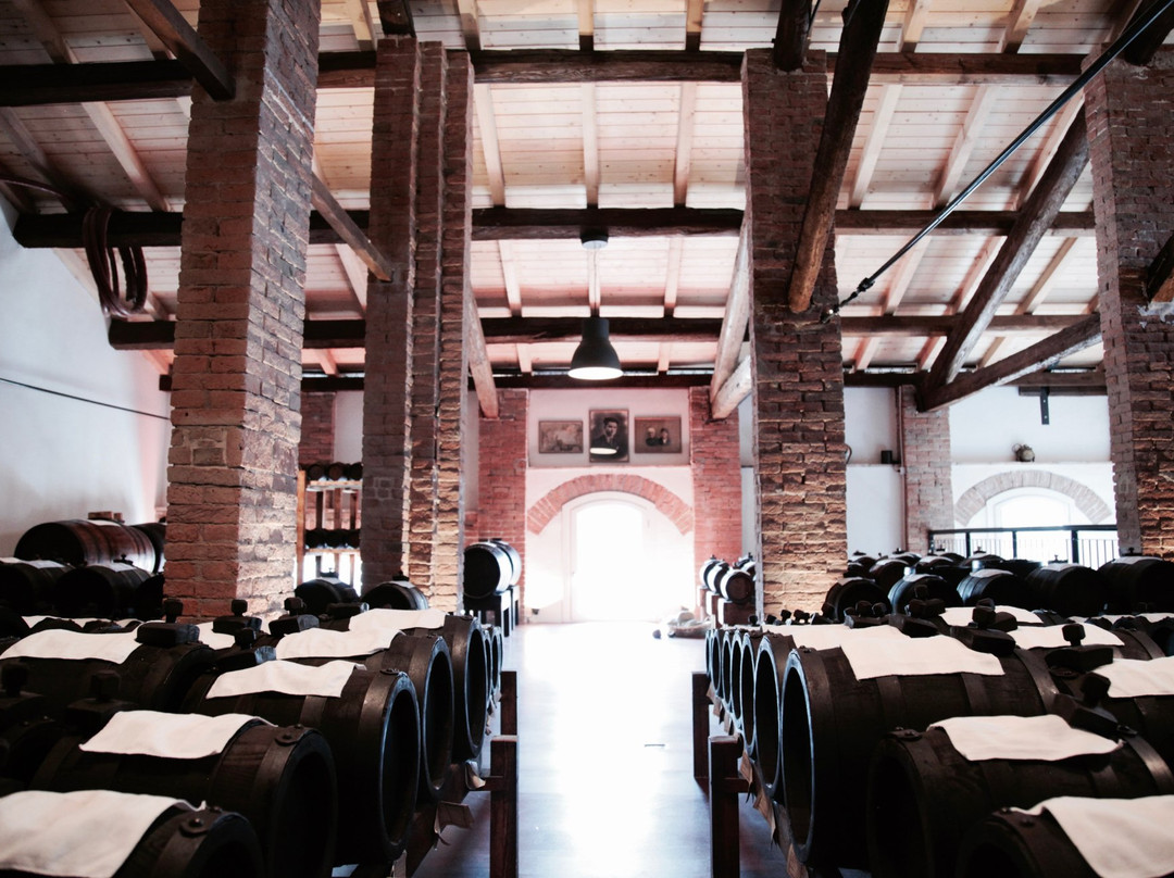 La Cascina Di Balsamico Bonini景点图片