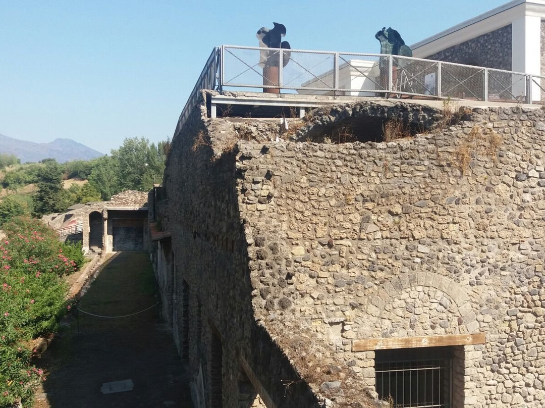 Rome Transfers & Tours-罗马必去景点