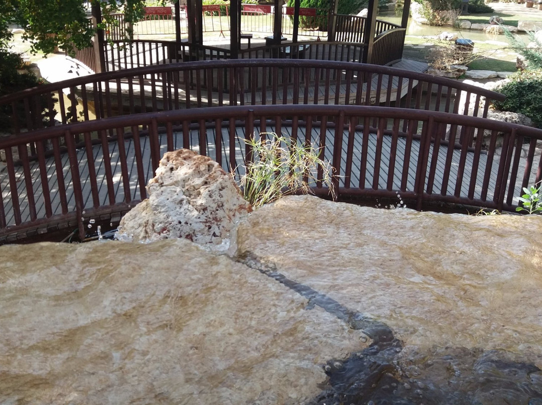 Japanese Garden-霍隆必去景点