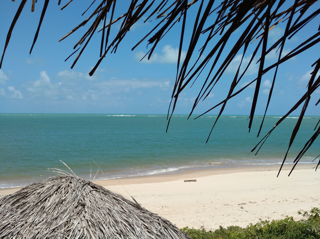 Baia Da Traicao Beach景点图片
