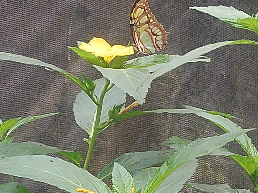 San Blas Trip - Day Tours-巴拿马城必去景点