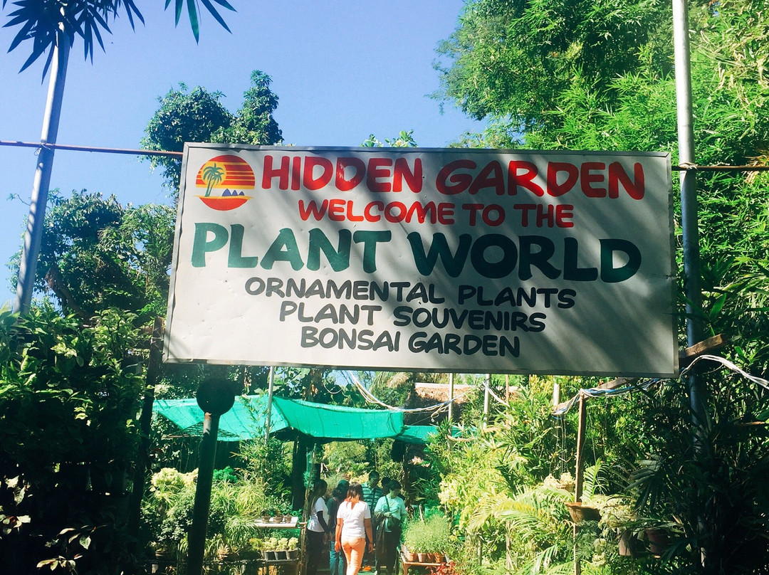 Hidden Garden景点图片