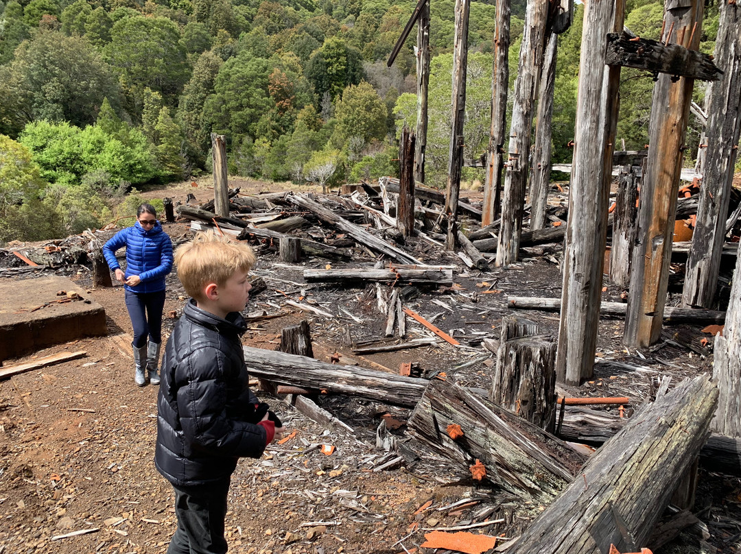 Magnet Tarkine Tours-Waratah必去景点