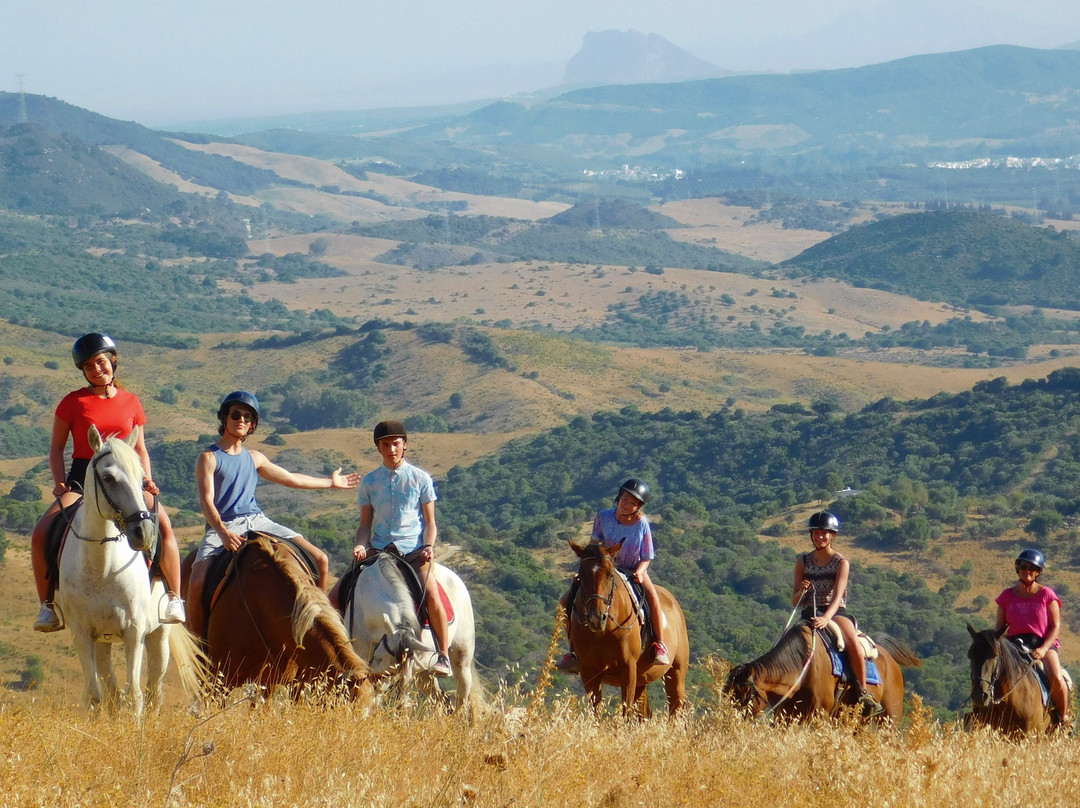 Riding Fun In The Sun景点图片