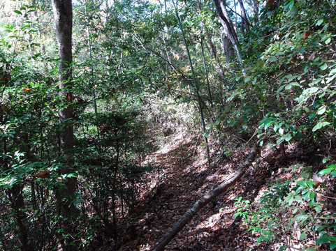 Sugimura Park-桥本市必去景点