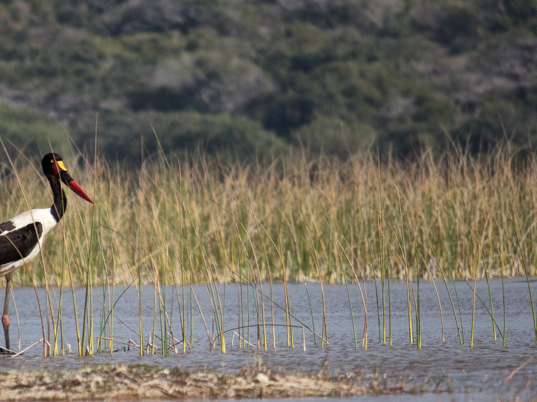 Mabeco Tours-马布多必去景点