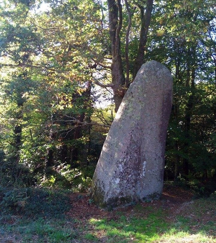 Manoir de Kerangosker主图