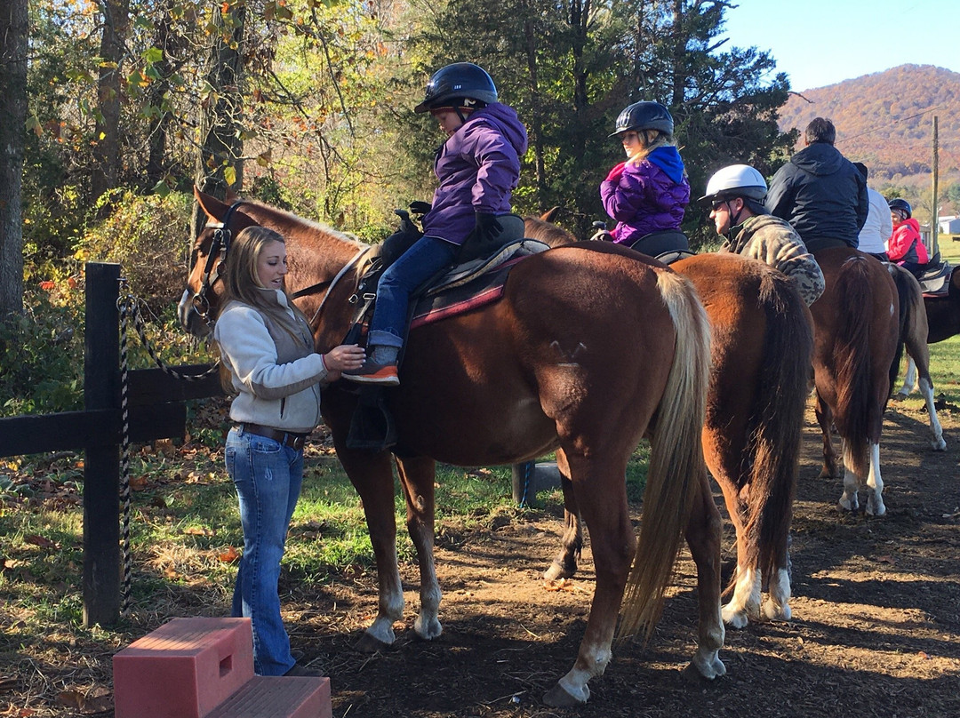 Jordan Hollow Stables-Stanley必去景点