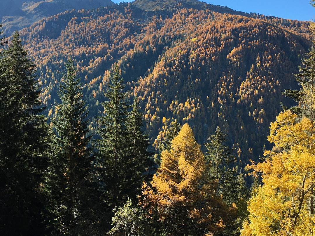 Grand Bisse de Vercorin-Vercorin必去景点