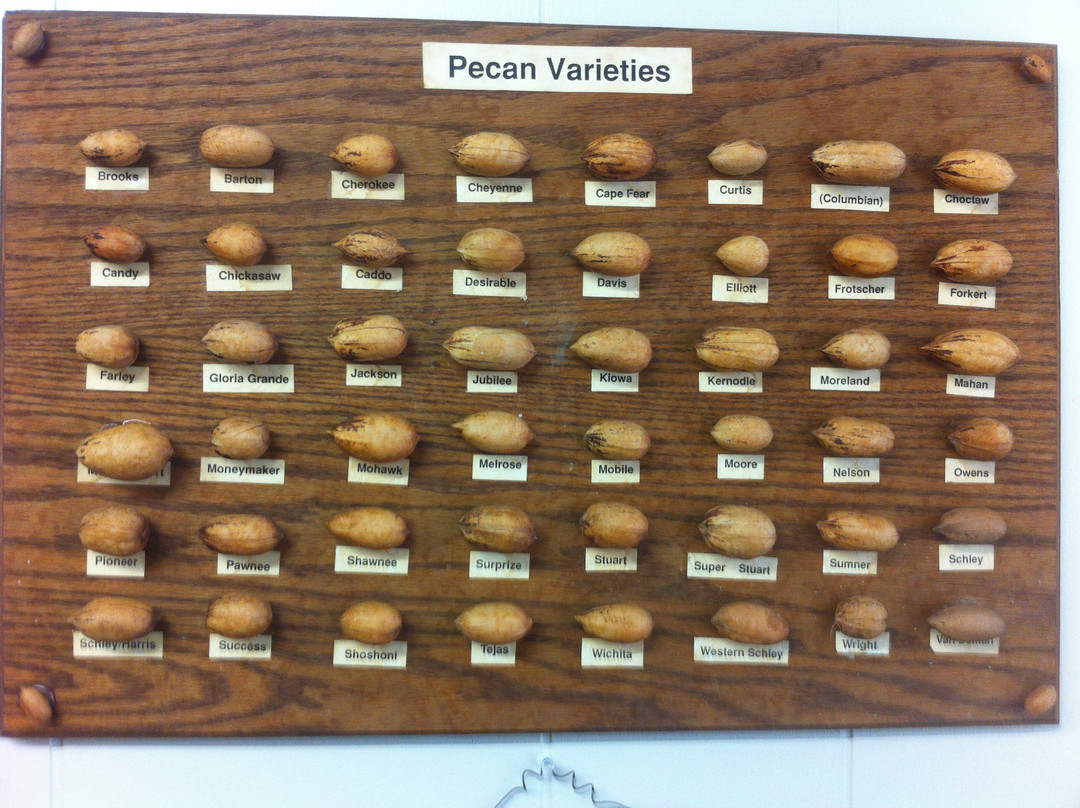 B & B Pecan Co-费尔霍普必去景点