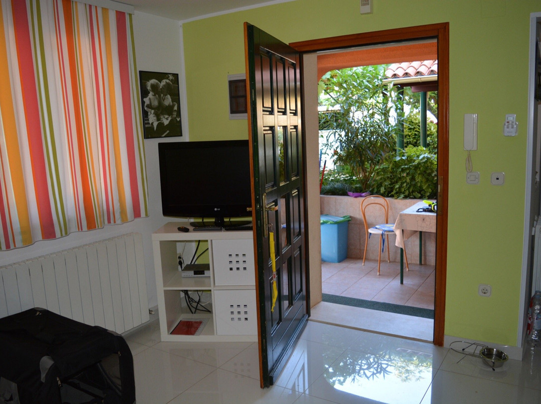 Apartements Bizjak主图