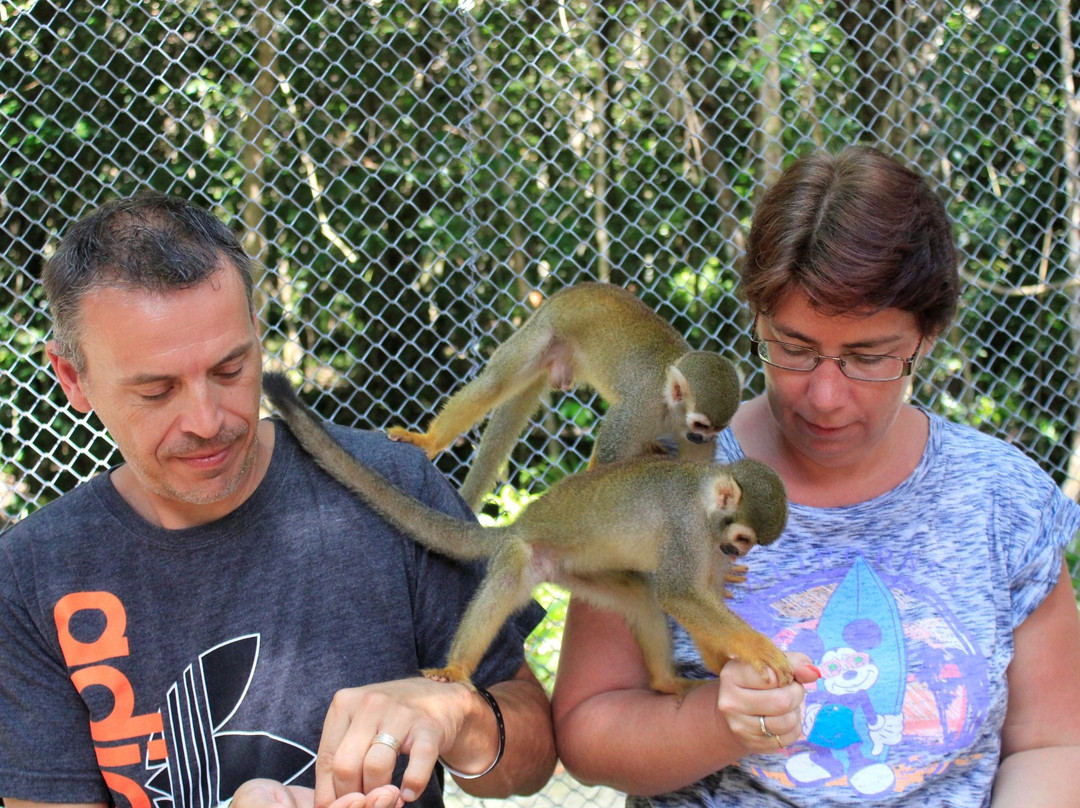 Akumal Monkey Sanctuary & Rescued Animals景点图片