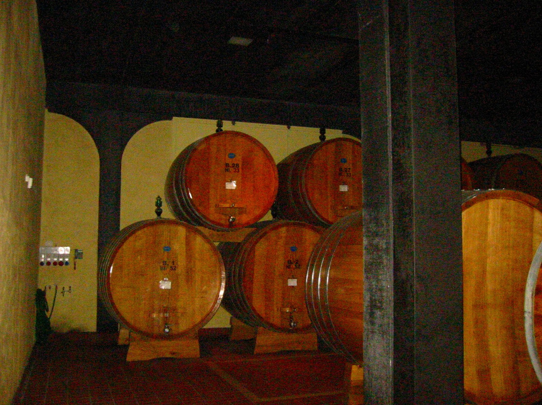 Sant'Angelo in Colle旅游景点-Tenuta il Poggione