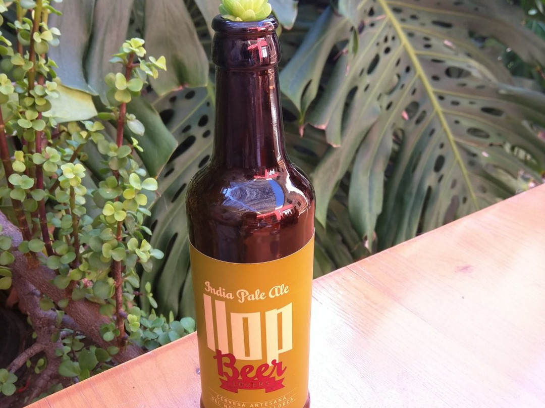 Beer Lovers Cerveceria景点图片