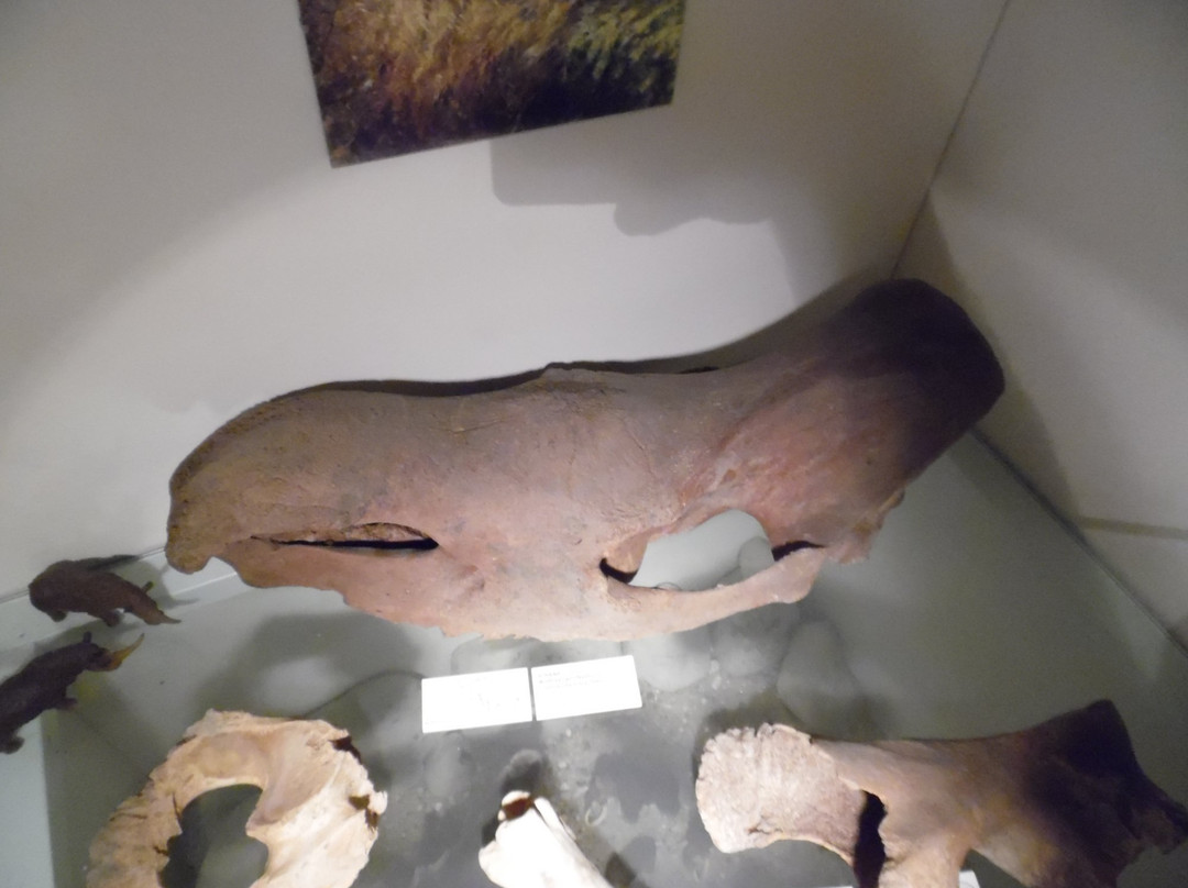 Stadtmuseum Bocholt景点图片