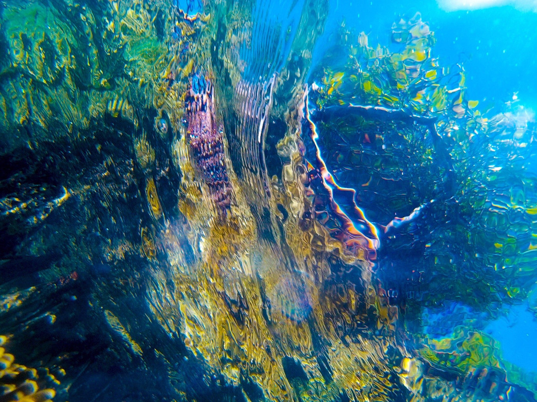 Playa de Guanica旅游攻略图片