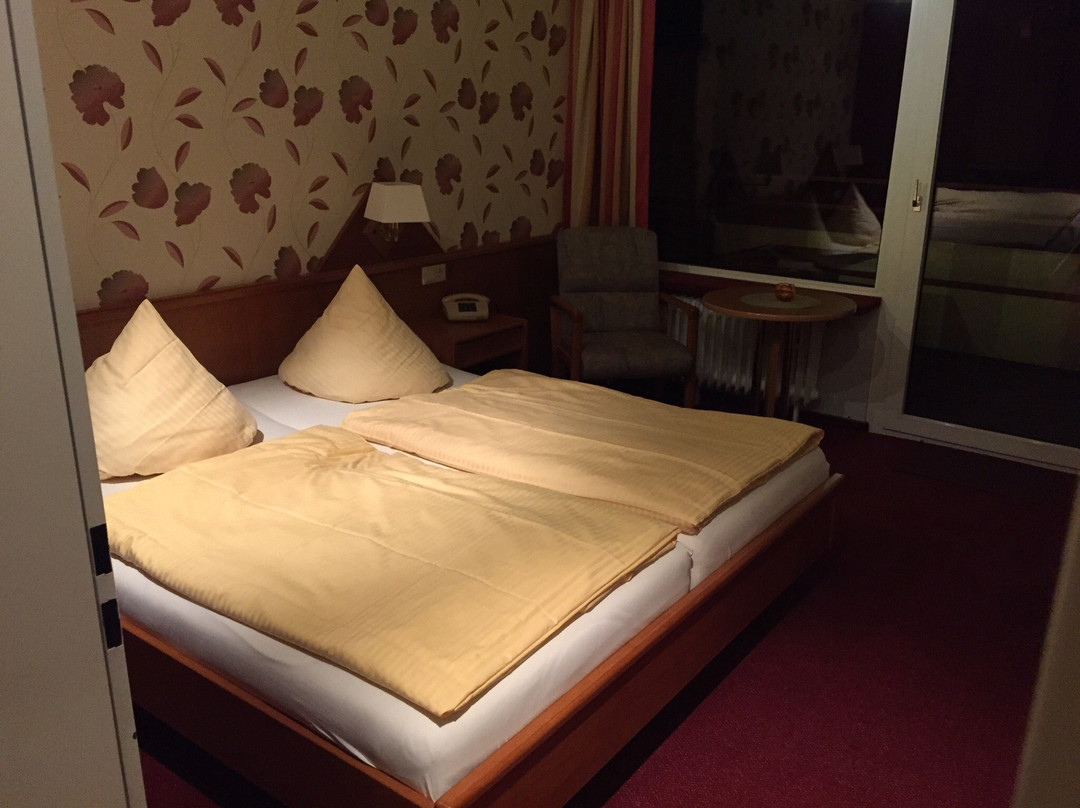 耶格尔瓦尔德卡夫酒店主图