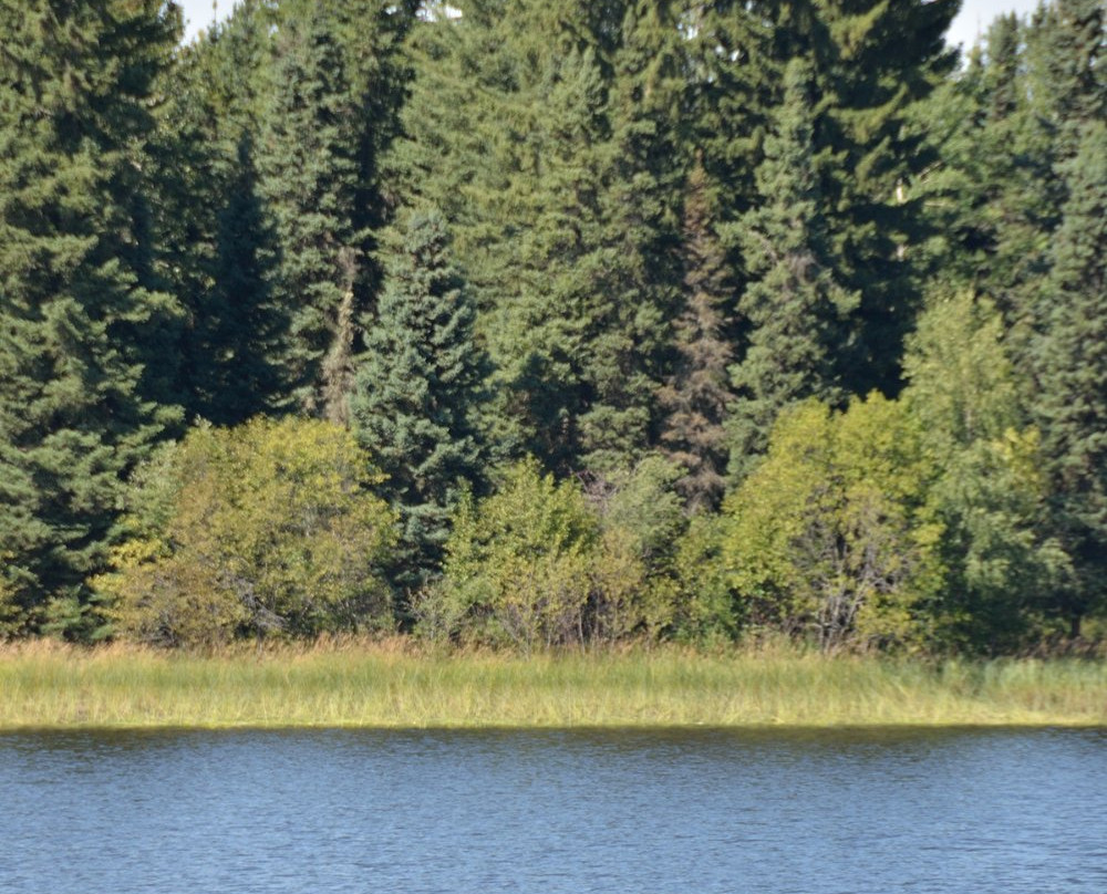 Medicine Lake Provincial Recreation Area-Buck Lake必去景点