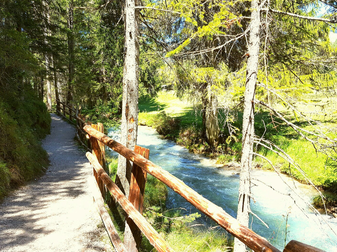 Centro Visite Parco Fanes-Sennes-Braies San Vigilio in Marebbe景点图片