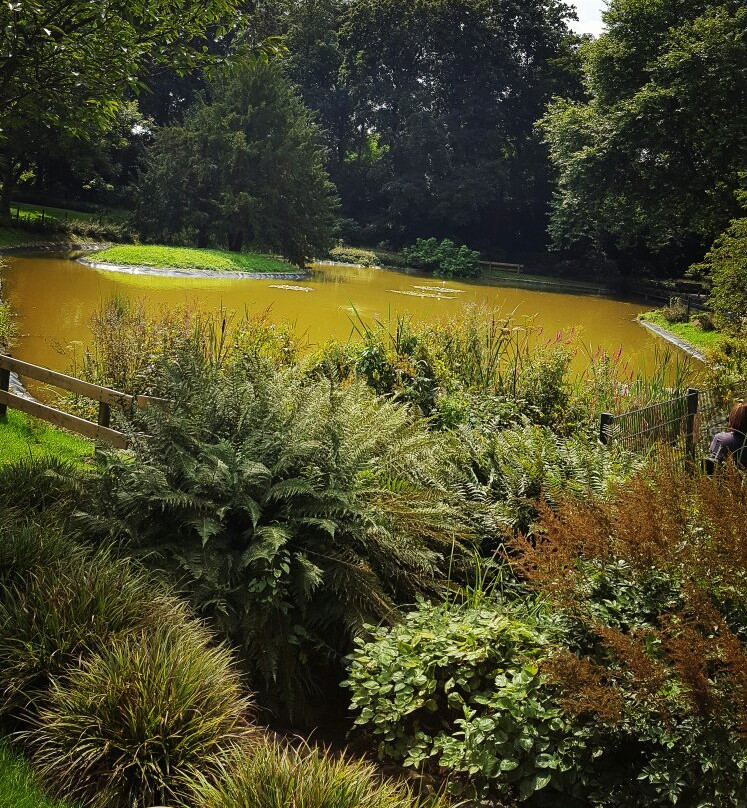 Botanischer Garten Solingen景点图片