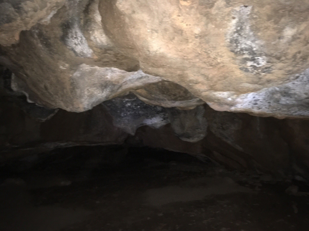 Mammoth Cave-Duck Creek Village必去景点