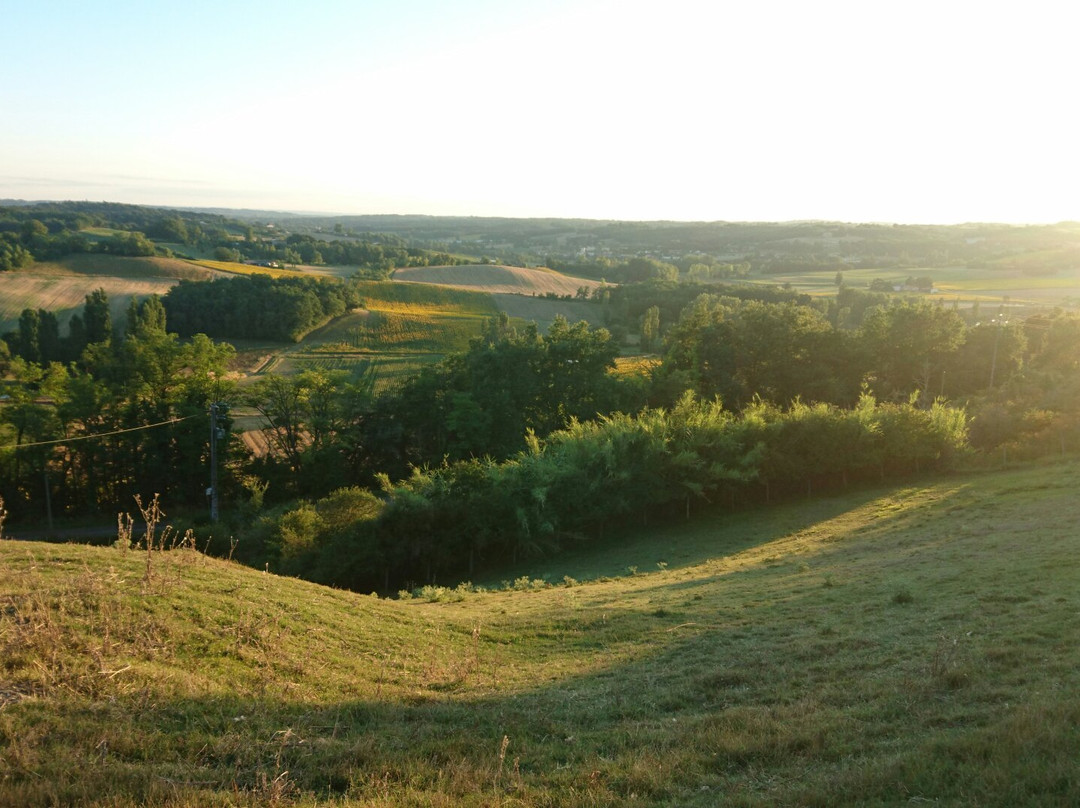 Ferme Pédagogique de St Martin景点图片
