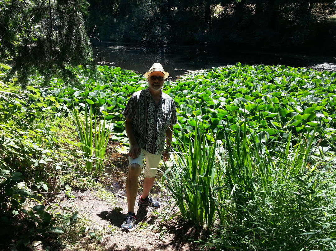 Canby Ferry-Aurora必去景点