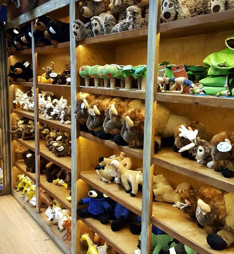 The Jackson Hole Toy Store-杰克逊必去景点