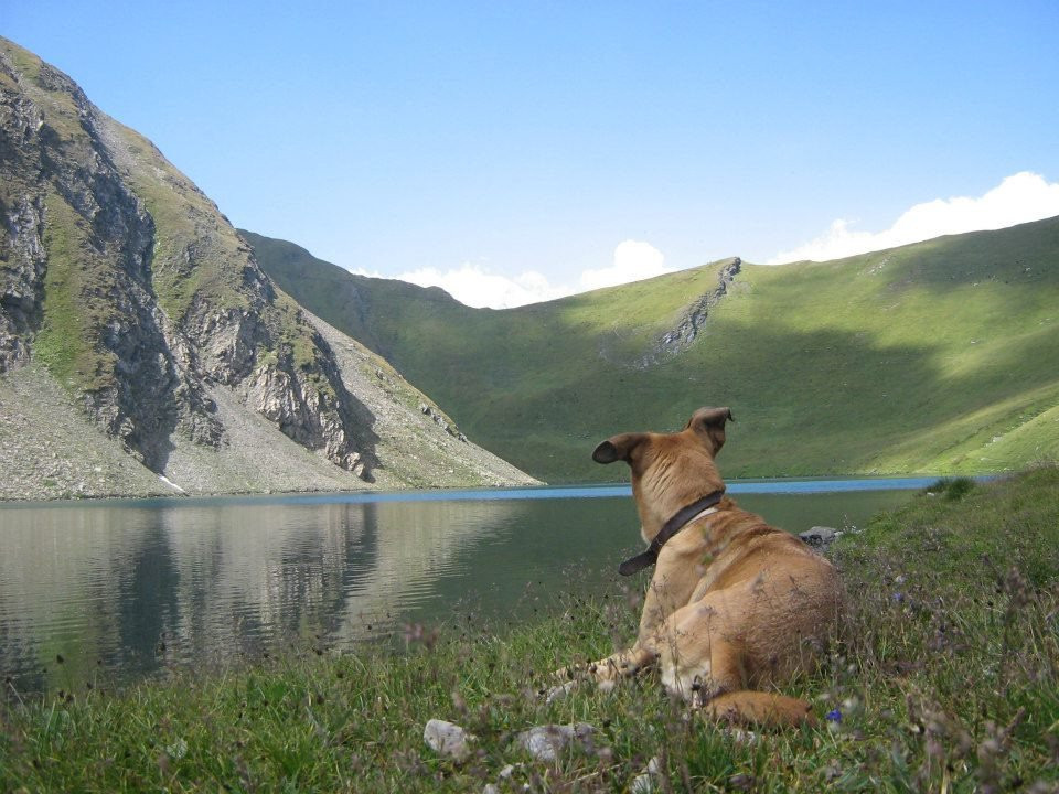 Lago di Liconi-Morgex必去景点