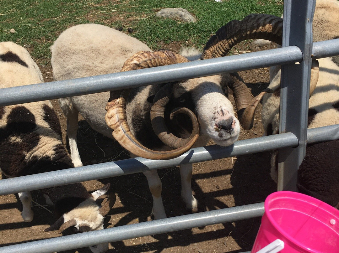 Silverman's Farm-Easton必去景点