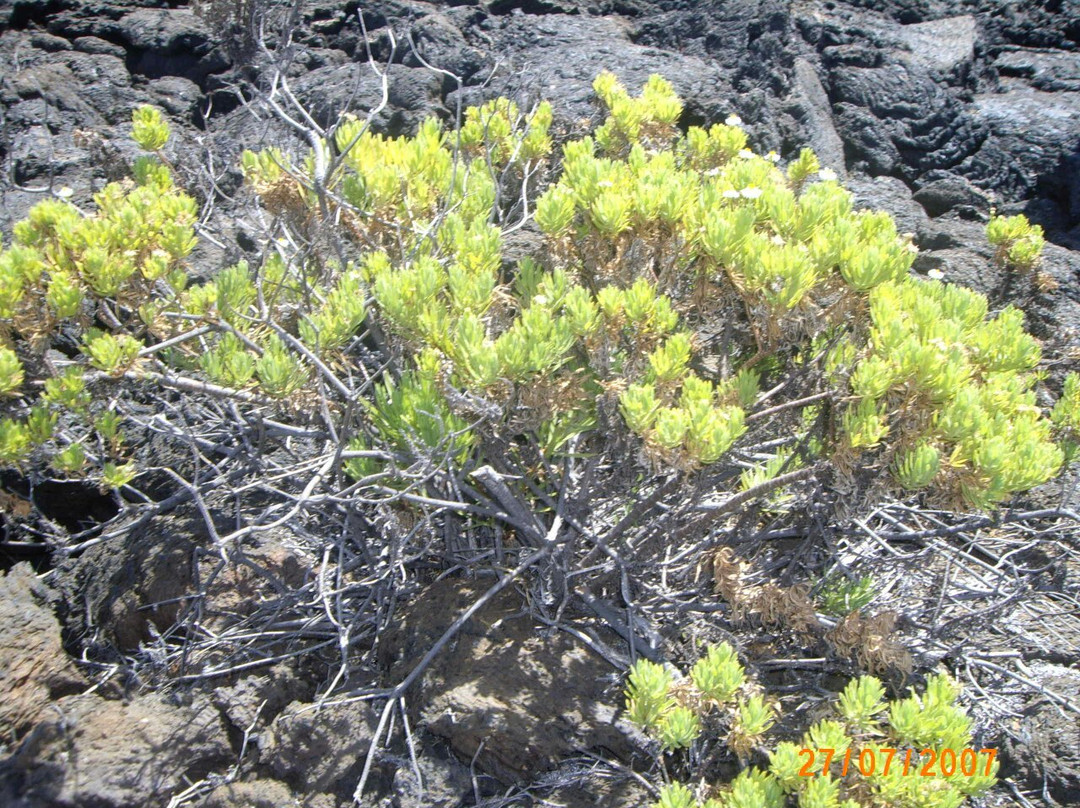 Botanical Garden of Guayaquil-瓜亚基尔必去景点