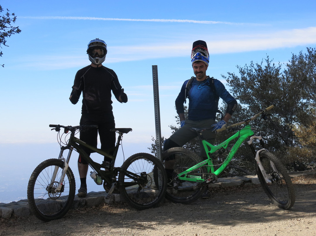 Mt Wilson MTB Adventure景点图片