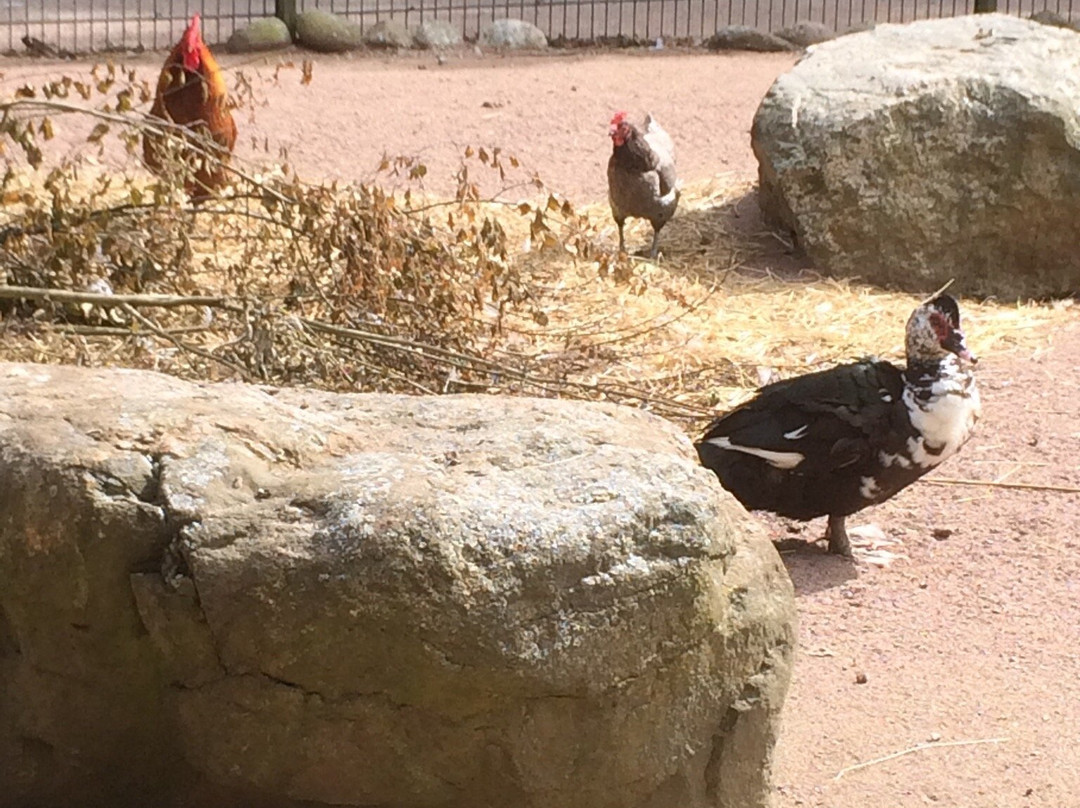 Kupittaa Park-土尔库必去景点