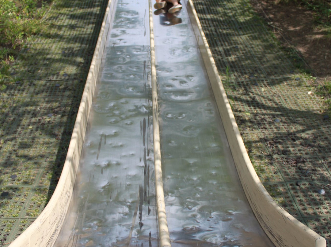 Fox River Park-沃基肖必去景点