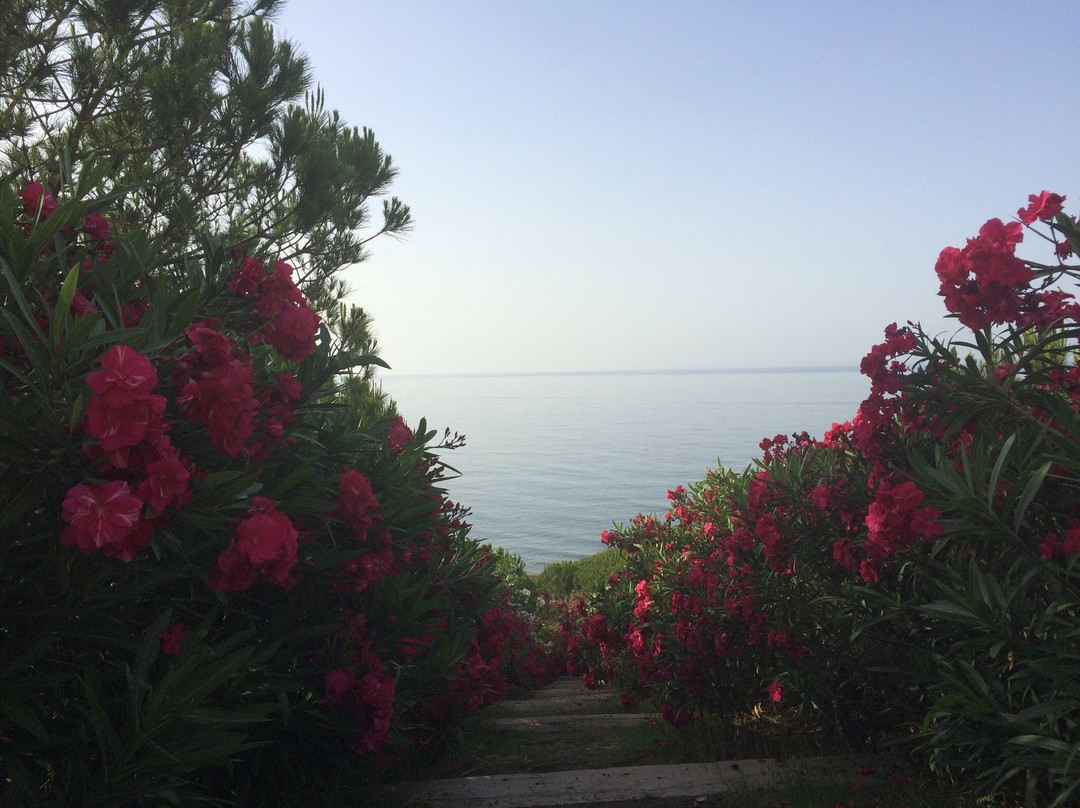 Parque del Mediterraneo-阿尔穆涅卡尔必去景点