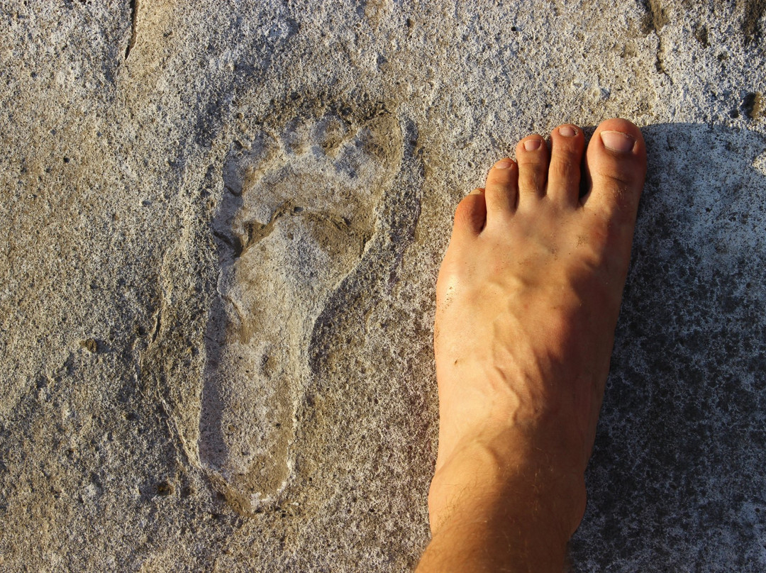 The Engare Sero Footprint Site景点图片