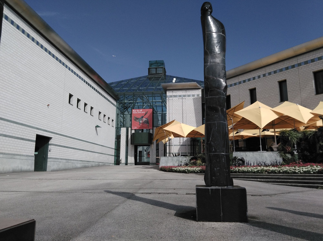Theatre Forum