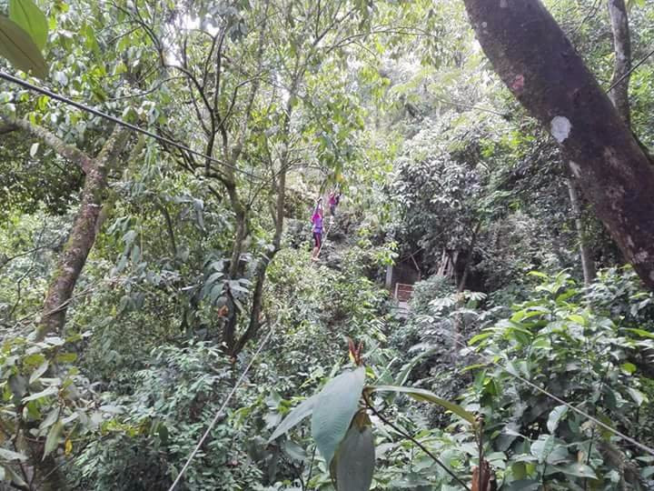 Macadamia Bosque Aventura景点图片