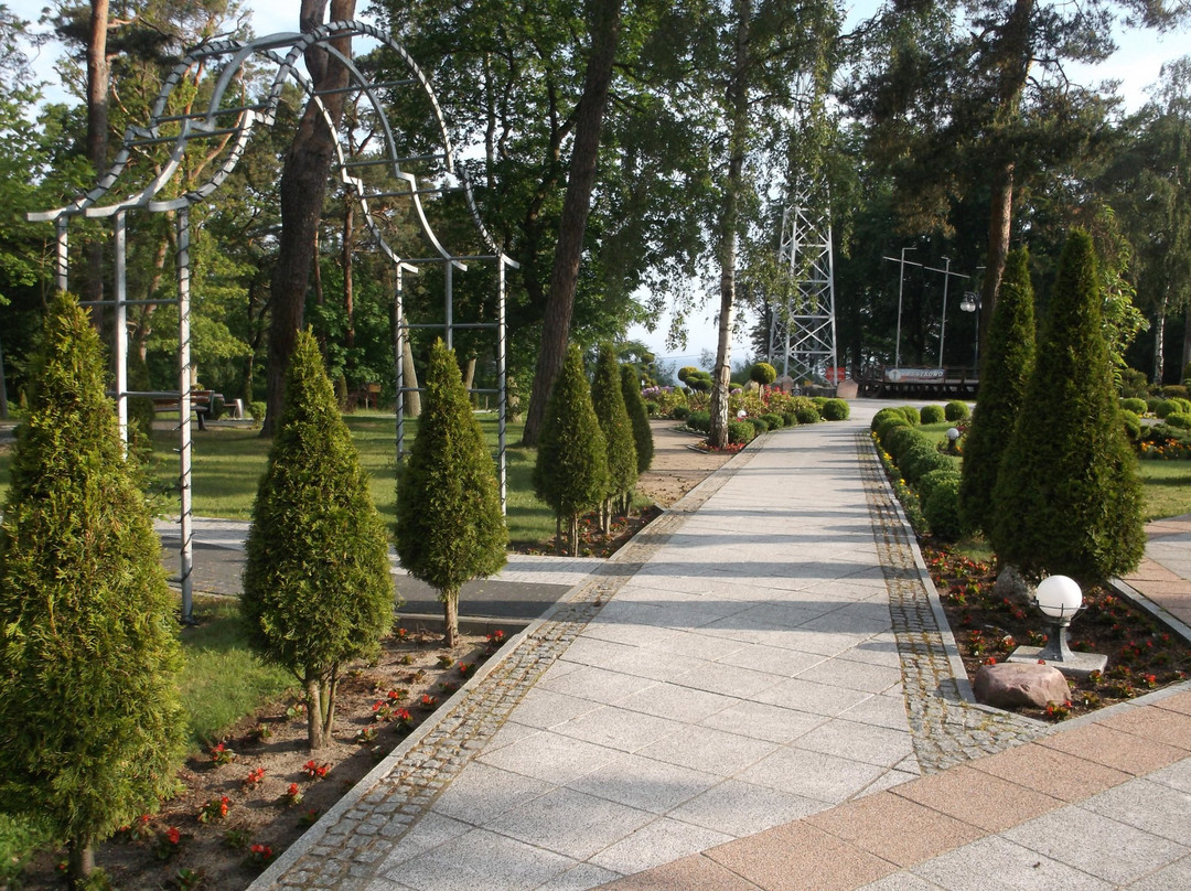 Park Przyjaciół Pustkowa景点图片
