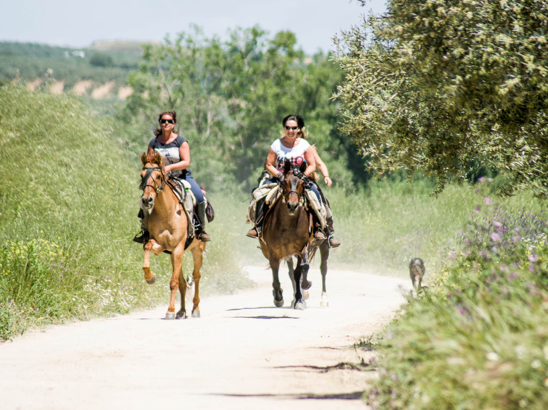 Caballos y Vino景点图片