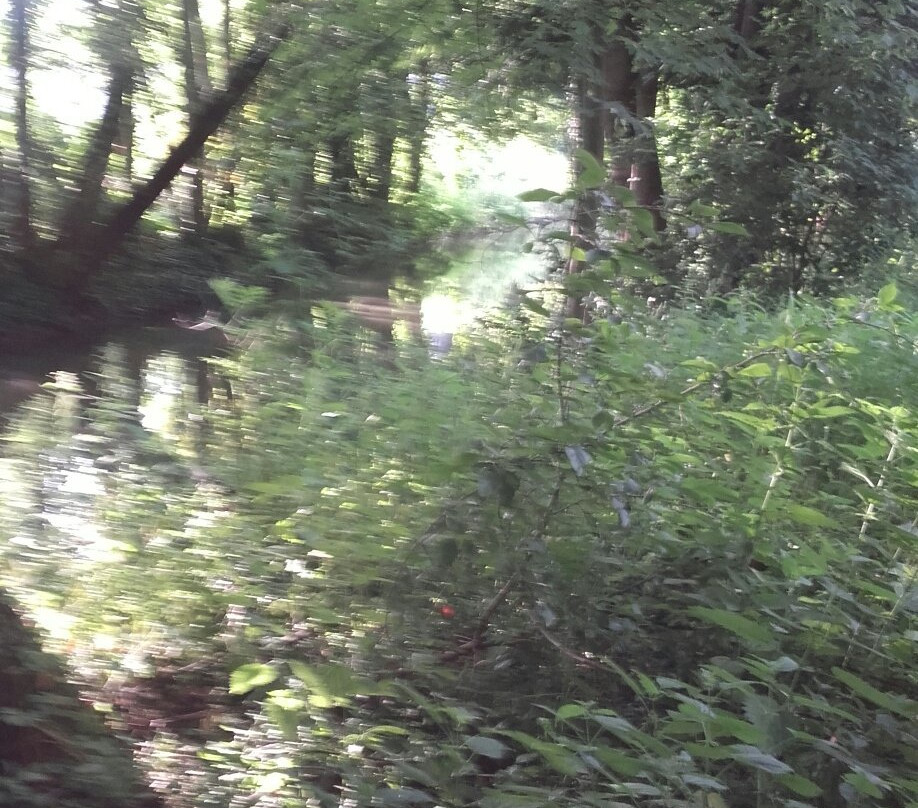 Canal de l'Aisne a la Marne-兰斯必去景点