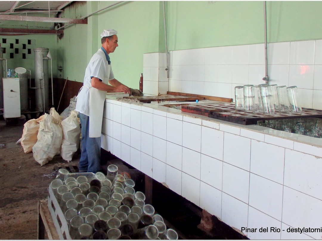 Guayabita del Pinar Liqueur Factory景点图片