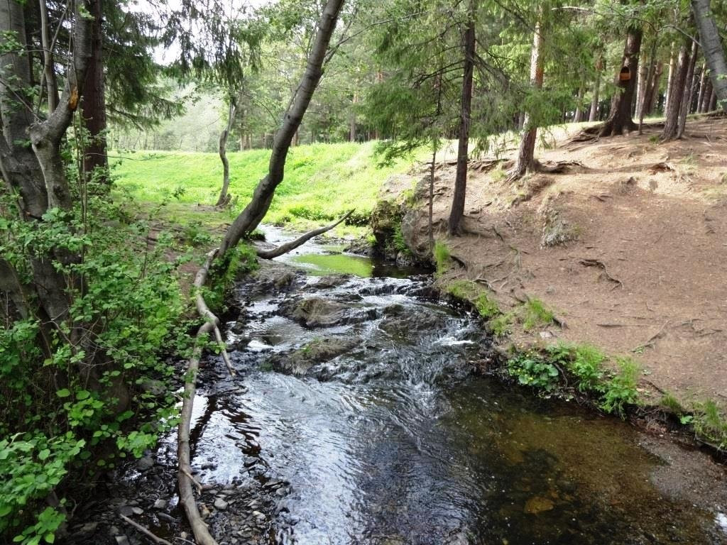 Kabalinsk Springs景点图片