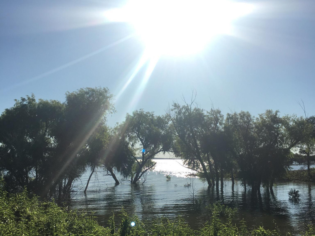 Grapevine Lake-葡萄藤必去景点