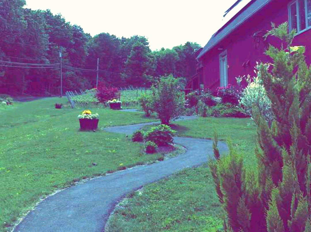 Lost Acres Vineyard-Granby必去景点