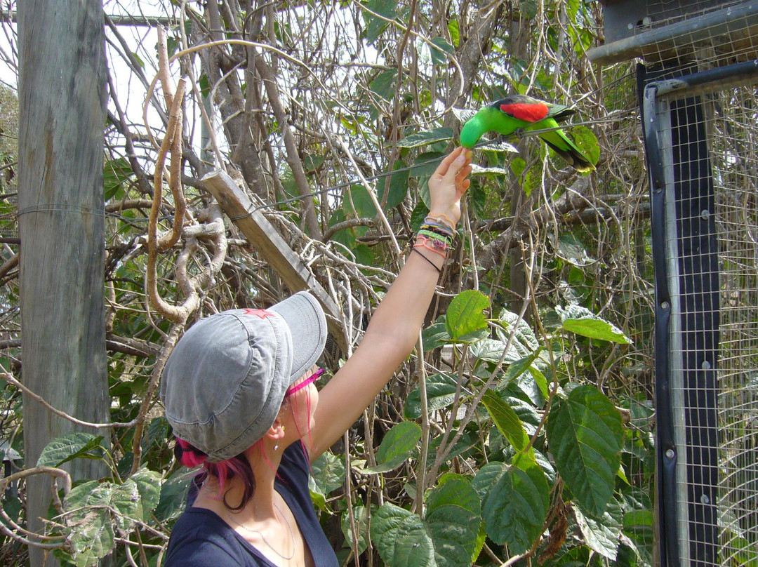 Waminda Wildlife Sanctuary-杰拉尔顿必去景点