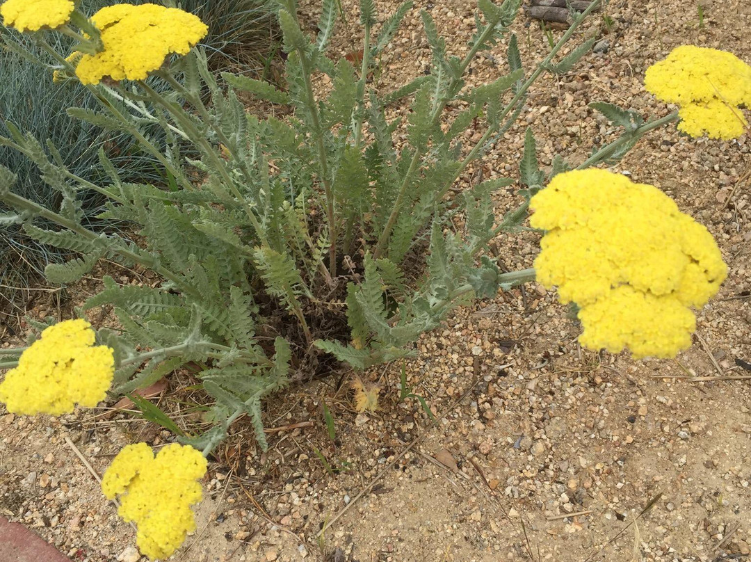 Monterey Visitor Center-蒙特雷必去景点