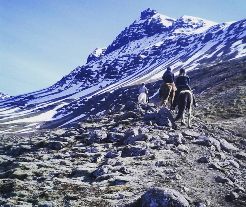 Odin Tours-Breiddalsvik必去景点