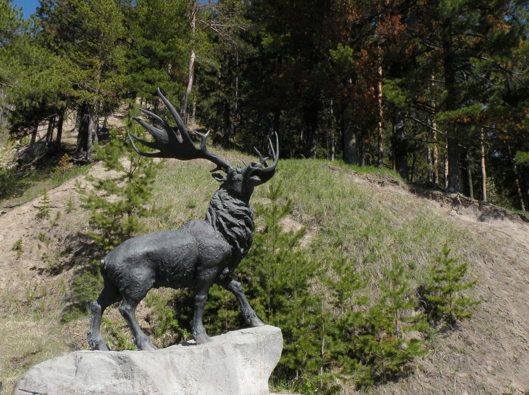 Natural Park Samarovskiy Chugas景点图片