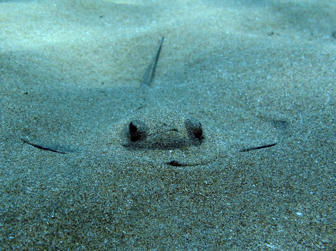 Dive Hub-法玛古斯塔必去景点